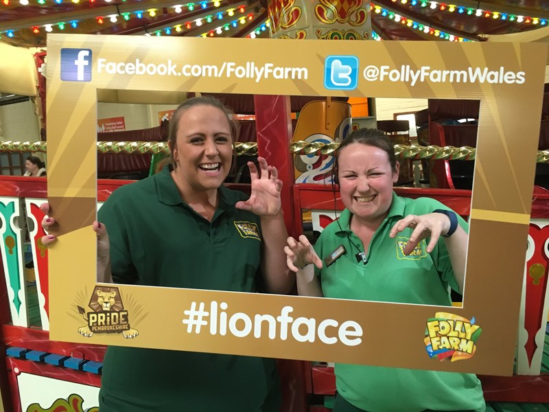 folly farmers lion face world lion day