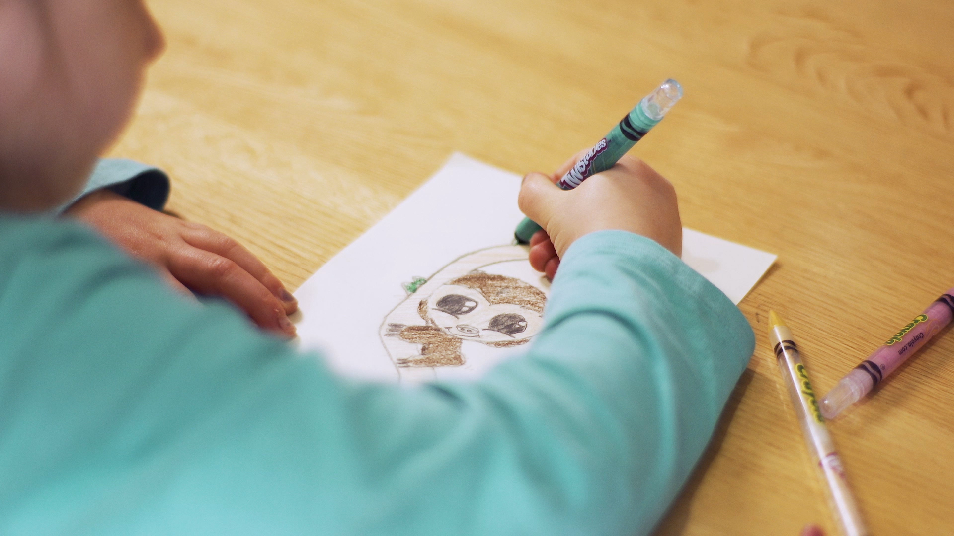 Girl drawing a sloth