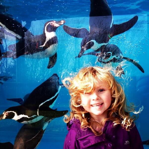 Girl and penguins