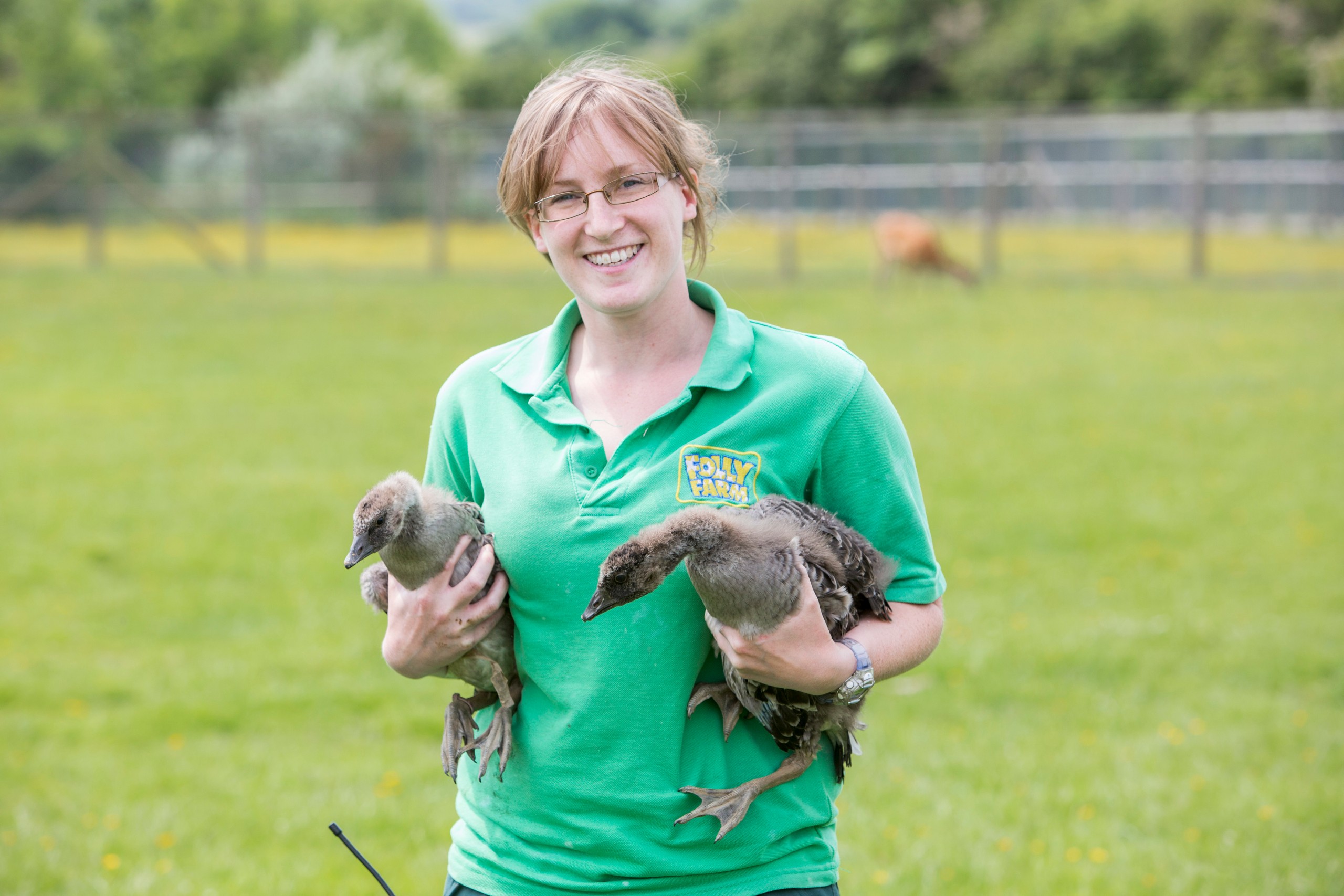 Kylie and nene geese