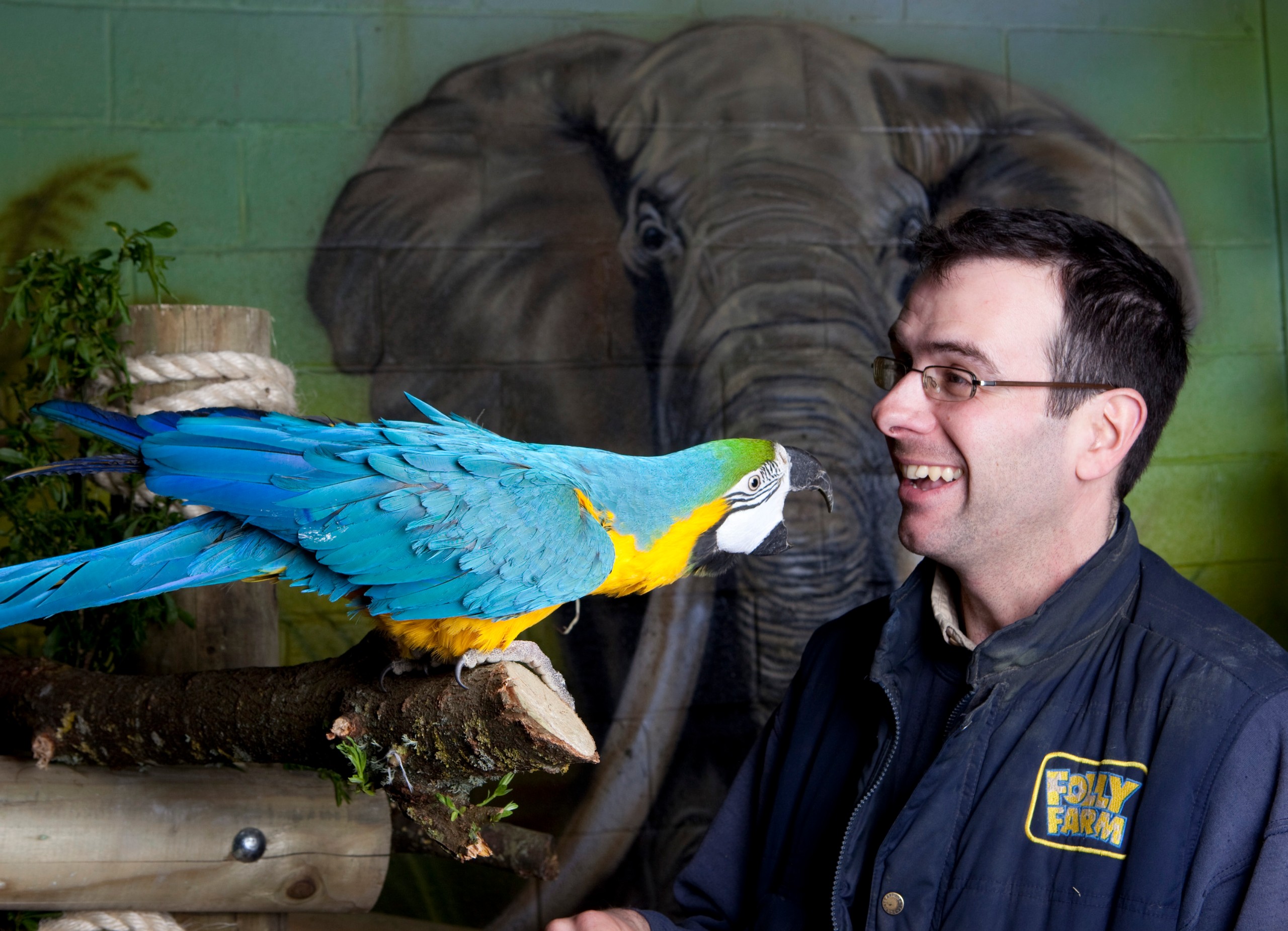 Trainee Zoo Keeper Job Opportunity At Folly Farm Zoo