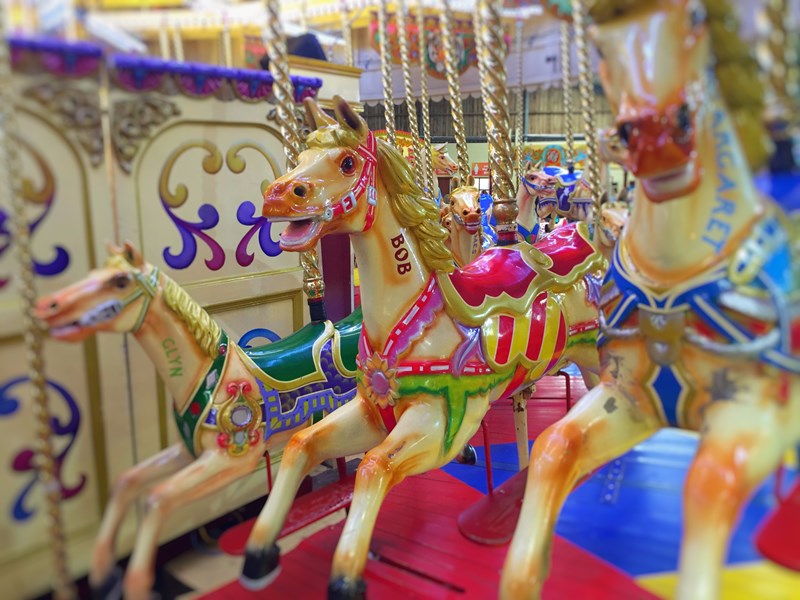 Golden galloper on the carousel