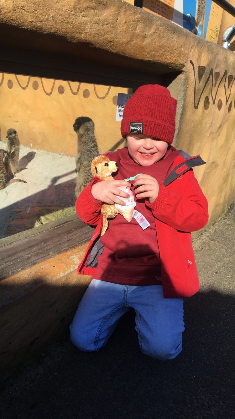 Child holding meerkat toy
