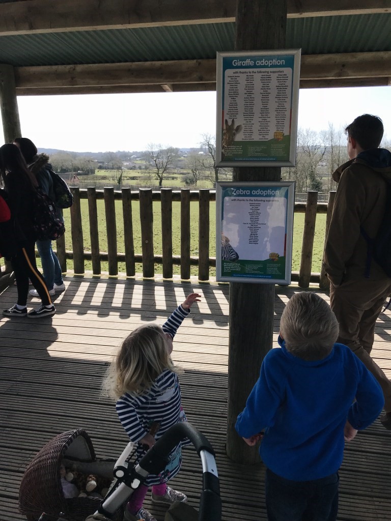 Giraffe adoption board at Folly Farm