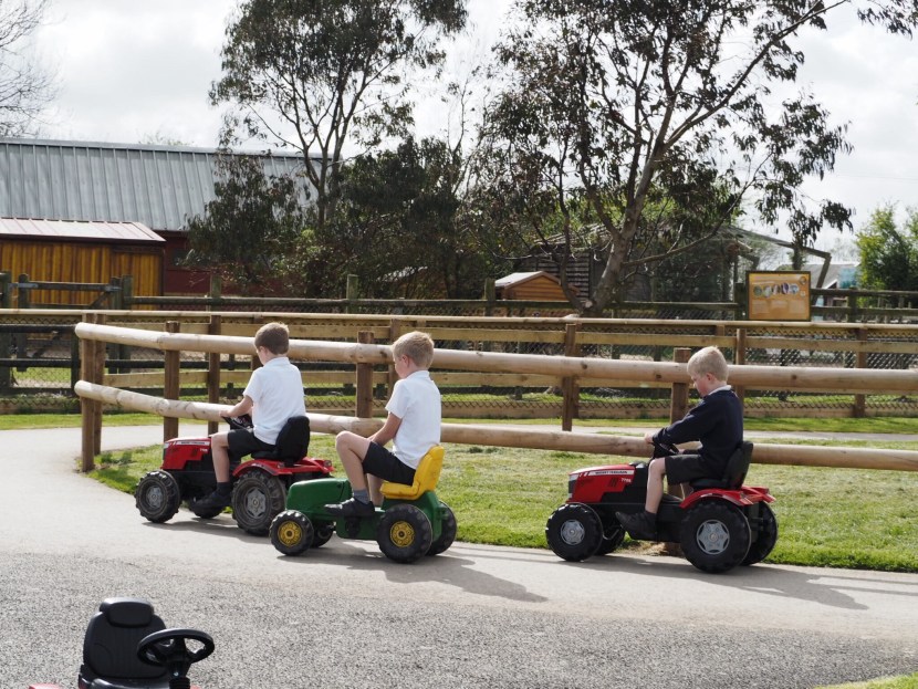 Boys riding pedal tractors