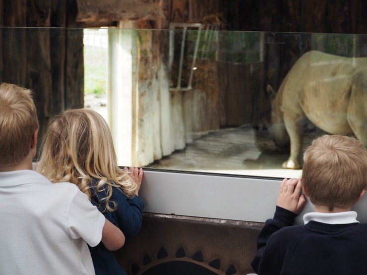 Children watching rhino at Folly Farm