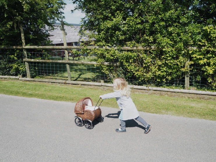 Girl pushing pram in Folly Farm