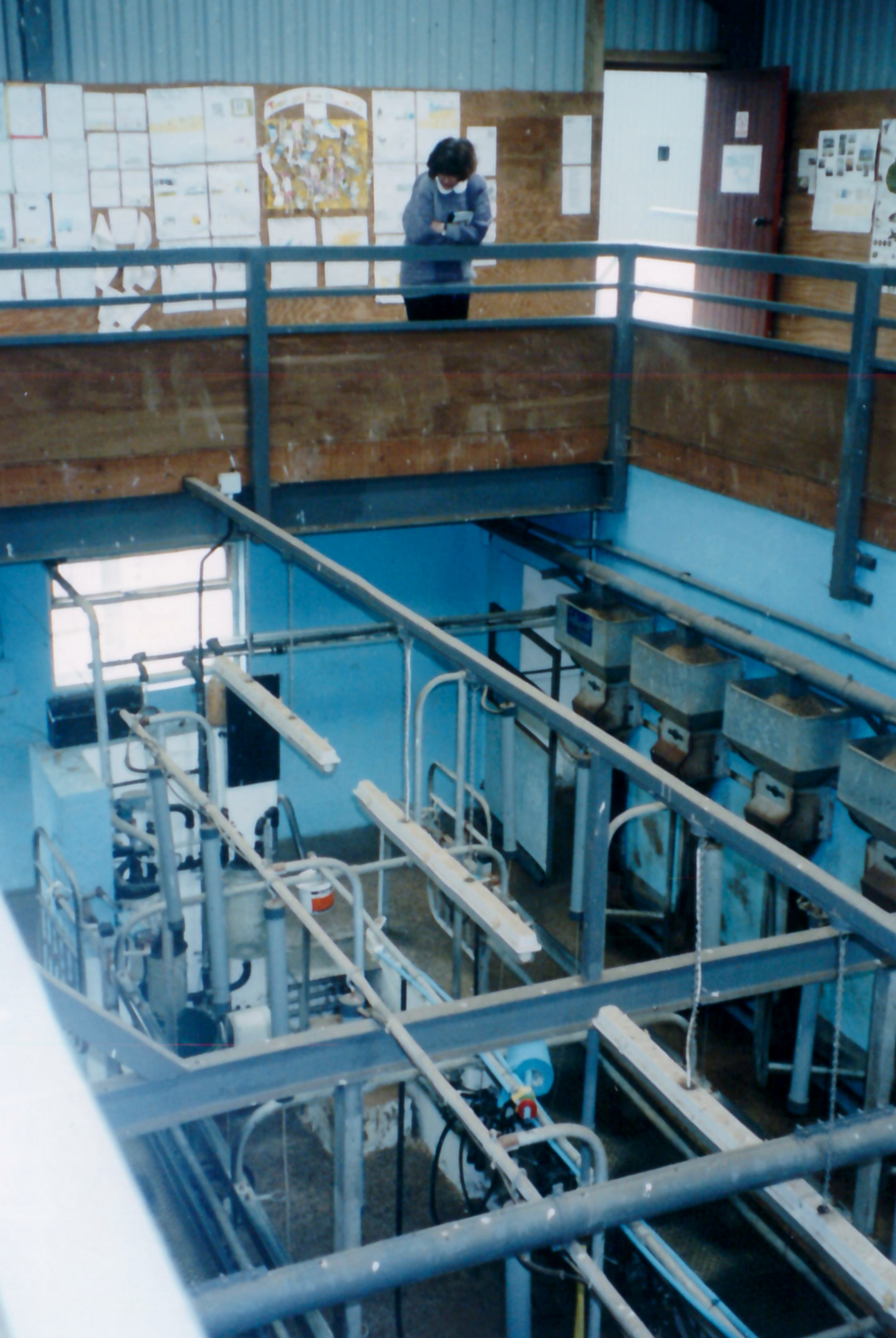 Folly Farm's original dairy parlour with viewing gallery