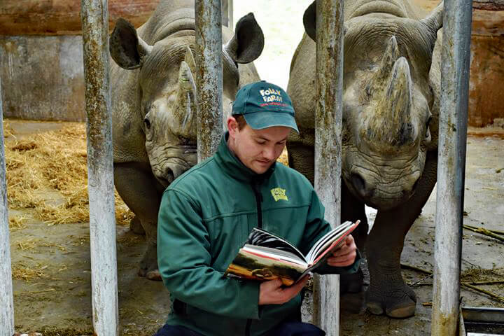 Image of a rhino keeper reading a book to two rhinos