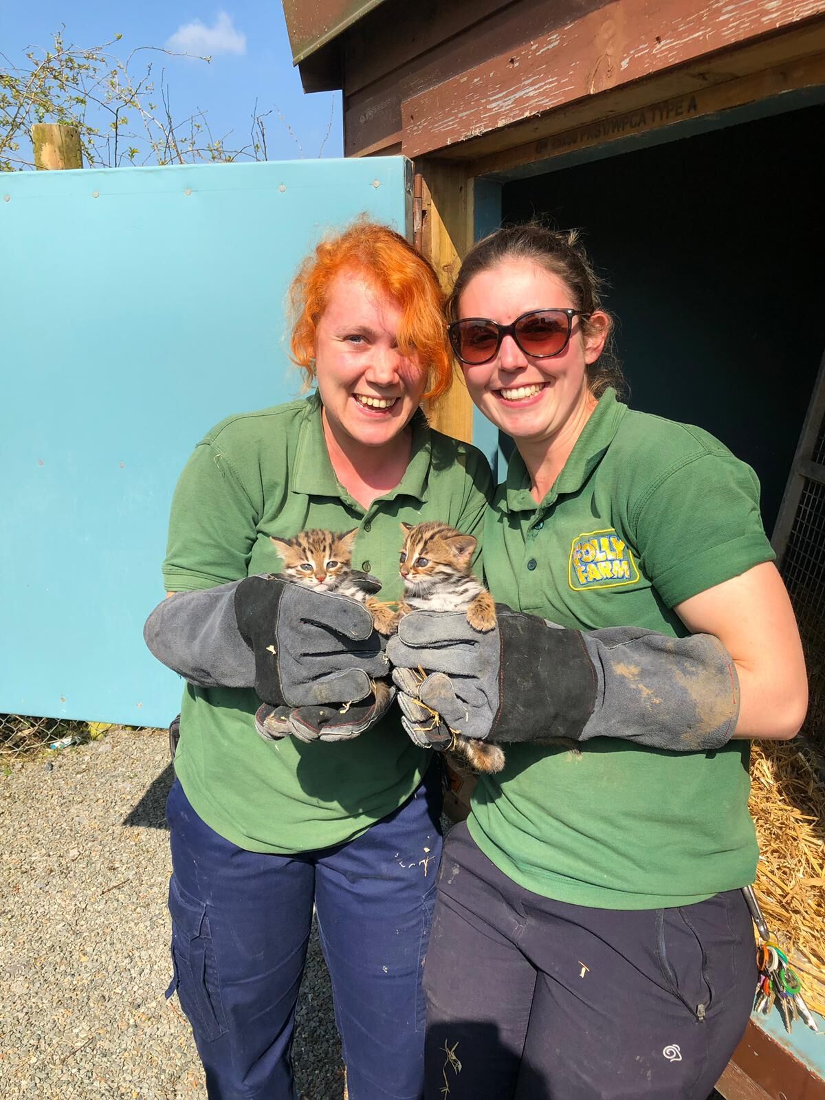 Zoo keepers with Asian leopard kittens