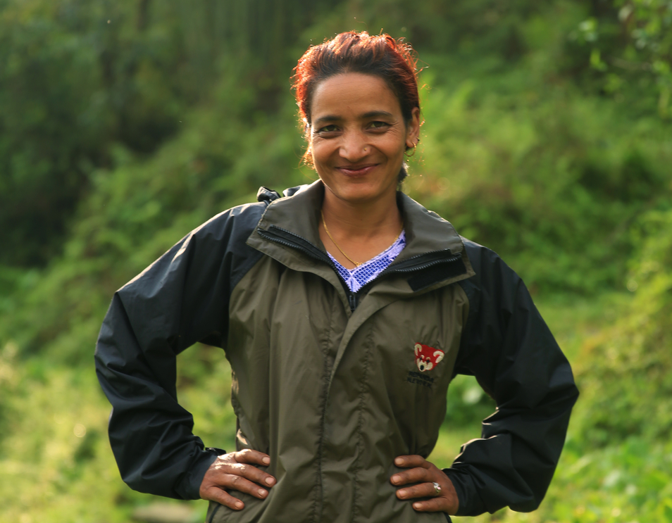 Photo of Red Panda Forest Guardian