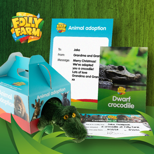Adopt a Crocodile UK • Sponsor a Crocodile at Folly Farm Zoo