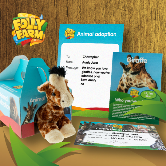 Adopt a Giraffe in the UK • Sponsor a Giraffe Gift Packs • Folly Farm