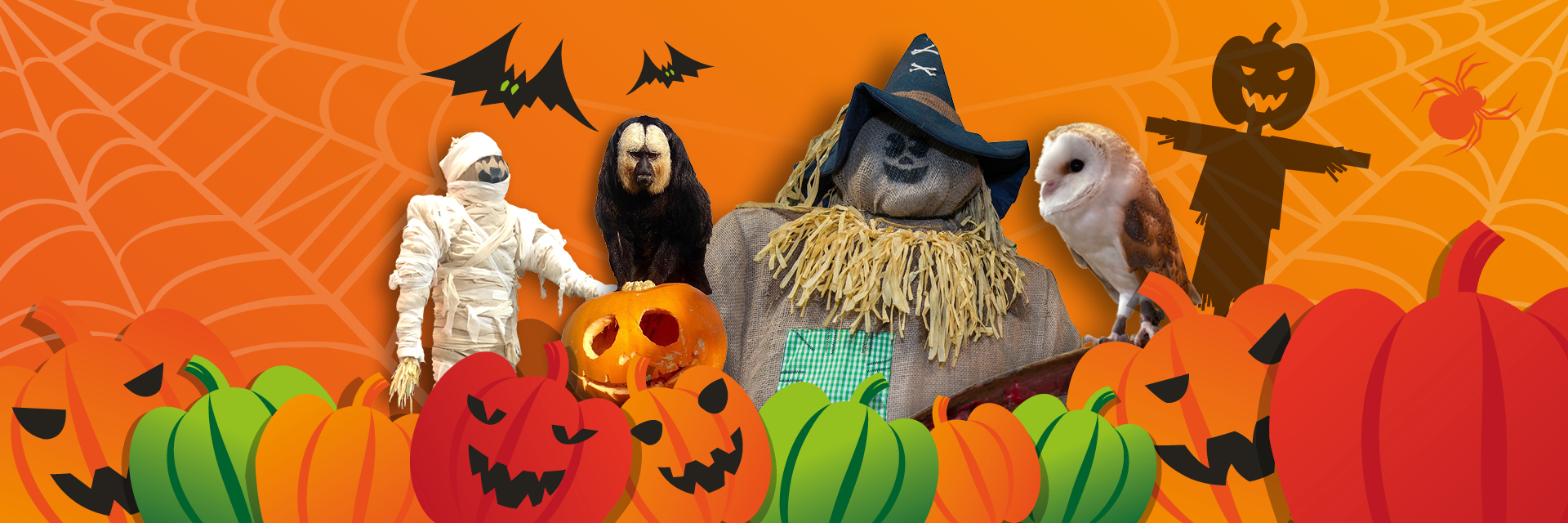 Halloween activities at Folly Farm. Illustration.