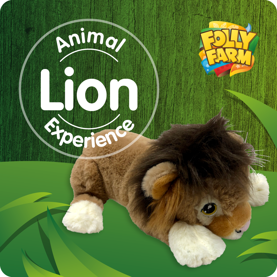 Lion Experience UK • Lion Feeding at Folly Farm