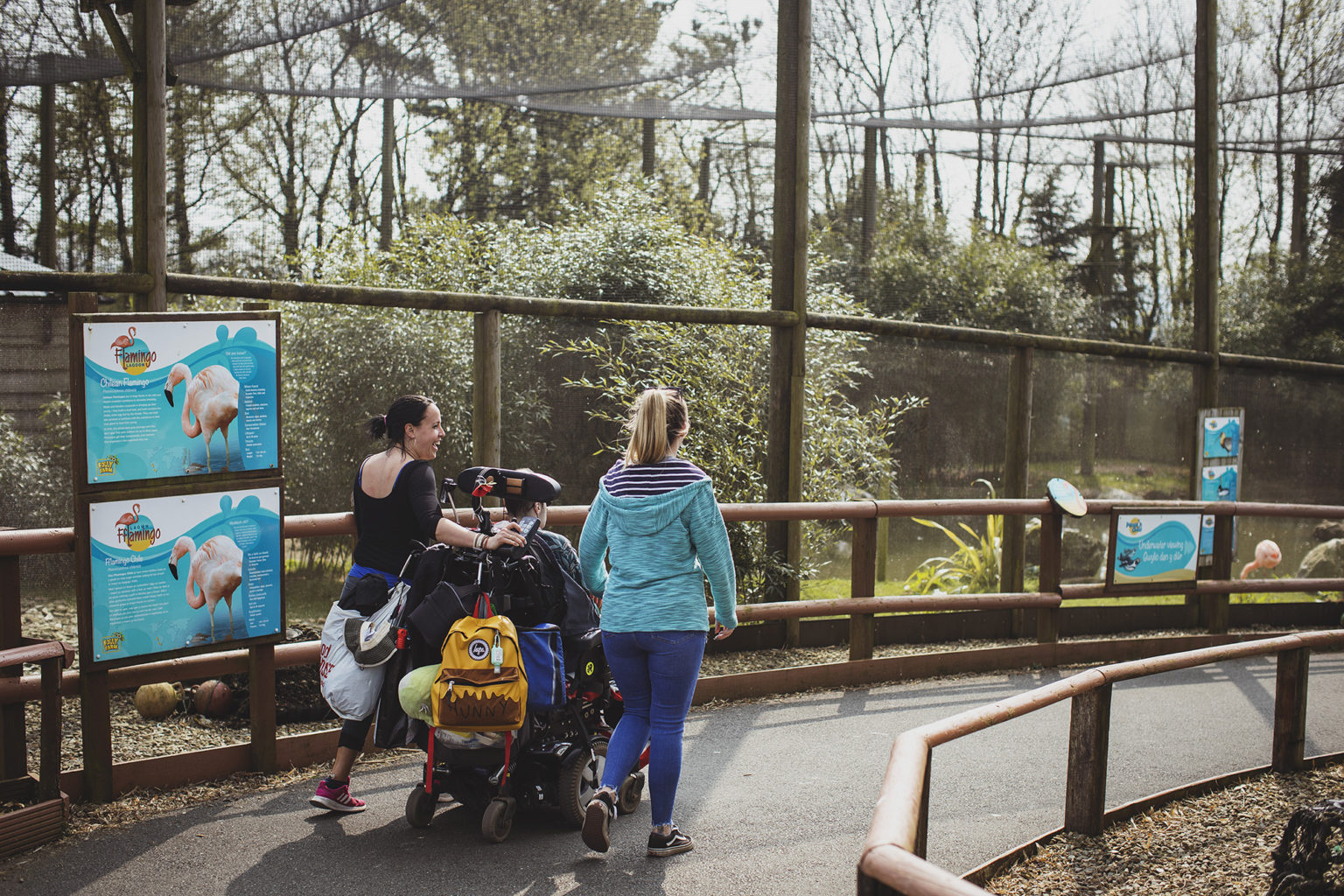 folly-farm-adventure-park-and-zoo-with-holiday-park-family-favourites
